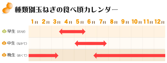 淡路島産玉ねぎのご紹介 | 淡路ごちそう館 御食国